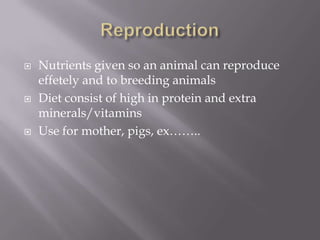 Reproduction Nutrients given so an animal can reproduce effetely and to breeding animalsDiet consist of high in protein and extra minerals/vitamins Use for mother, pigs, ex……..  