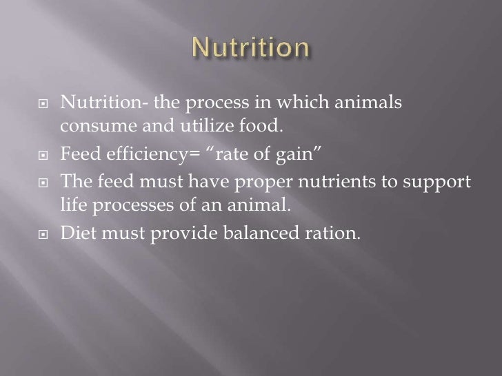 Animal nutrition