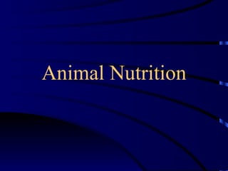 Animal Nutrition 