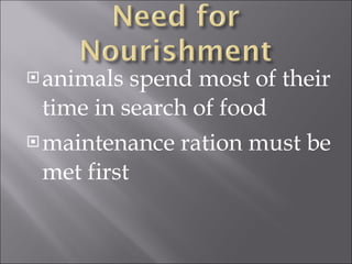 animals spend most of their time in search of food maintenance ration must be met first 