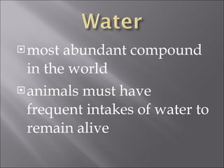 most abundant compound in the world animals must have frequent intakes of water to remain alive 