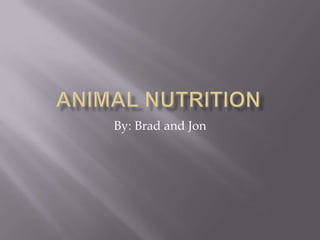 Animal Nutrition By: Brad and Jon 