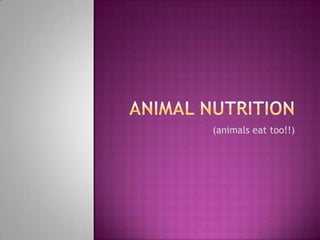Animal nutrition (animals eat too!!) 