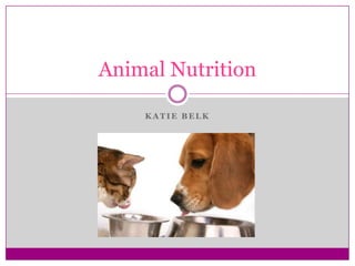 Animal Nutrition

    KATIE BELK
 