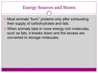 Store Exhasting Animal nutrition | PPTX