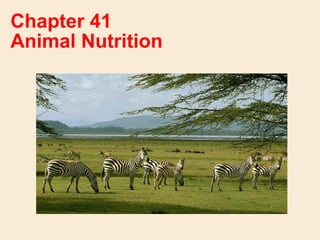 Chapter 41
Animal Nutrition
 