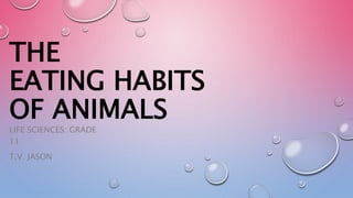 THE
EATING HABITS
OF ANIMALS
LIFE SCIENCES: GRADE
11
T.V. JASON
 