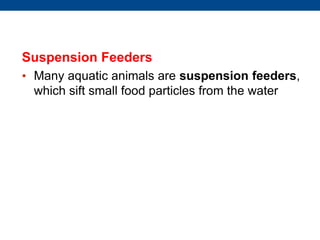 Suspension Feeders
• Many aquatic animals are suspension feeders,
which sift small food particles from the water
 