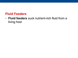 Fluid Feeders
• Fluid feeders suck nutrient-rich fluid from a
living host
 