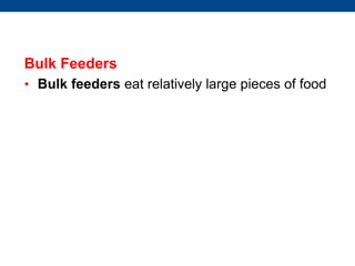 Bulk Feeders
• Bulk feeders eat relatively large pieces of food
 