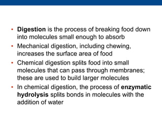 • Digestion is the process of breaking food down
into molecules small enough to absorb
• Mechanical digestion, including chewing,
increases the surface area of food
• Chemical digestion splits food into small
molecules that can pass through membranes;
these are used to build larger molecules
• In chemical digestion, the process of enzymatic
hydrolysis splits bonds in molecules with the
addition of water
 