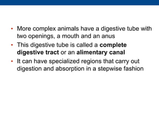 • More complex animals have a digestive tube with
two openings, a mouth and an anus
• This digestive tube is called a complete
digestive tract or an alimentary canal
• It can have specialized regions that carry out
digestion and absorption in a stepwise fashion
 