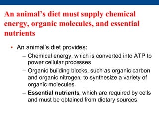 An animal’s diet must supply chemical
energy, organic molecules, and essential
nutrients
• An animal’s diet provides:
– Chemical energy, which is converted into ATP to
power cellular processes
– Organic building blocks, such as organic carbon
and organic nitrogen, to synthesize a variety of
organic molecules
– Essential nutrients, which are required by cells
and must be obtained from dietary sources
 