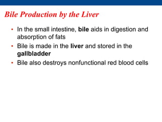 Bile Production by the Liver
• In the small intestine, bile aids in digestion and
absorption of fats
• Bile is made in the liver and stored in the
gallbladder
• Bile also destroys nonfunctional red blood cells
 
