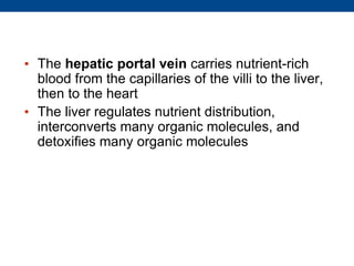 • The hepatic portal vein carries nutrient-rich
blood from the capillaries of the villi to the liver,
then to the heart
• The liver regulates nutrient distribution,
interconverts many organic molecules, and
detoxifies many organic molecules
 
