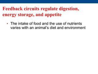 Feedback circuits regulate digestion,
energy storage, and appetite
• The intake of food and the use of nutrients
varies with an animal’s diet and environment
 