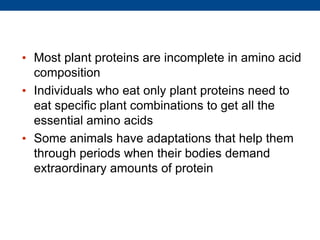 • Most plant proteins are incomplete in amino acid
composition
• Individuals who eat only plant proteins need to
eat specific plant combinations to get all the
essential amino acids
• Some animals have adaptations that help them
through periods when their bodies demand
extraordinary amounts of protein
 