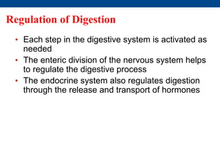 Regulation of Digestion
• Each step in the digestive system is activated as
needed
• The enteric division of the nervous system helps
to regulate the digestive process
• The endocrine system also regulates digestion
through the release and transport of hormones
 