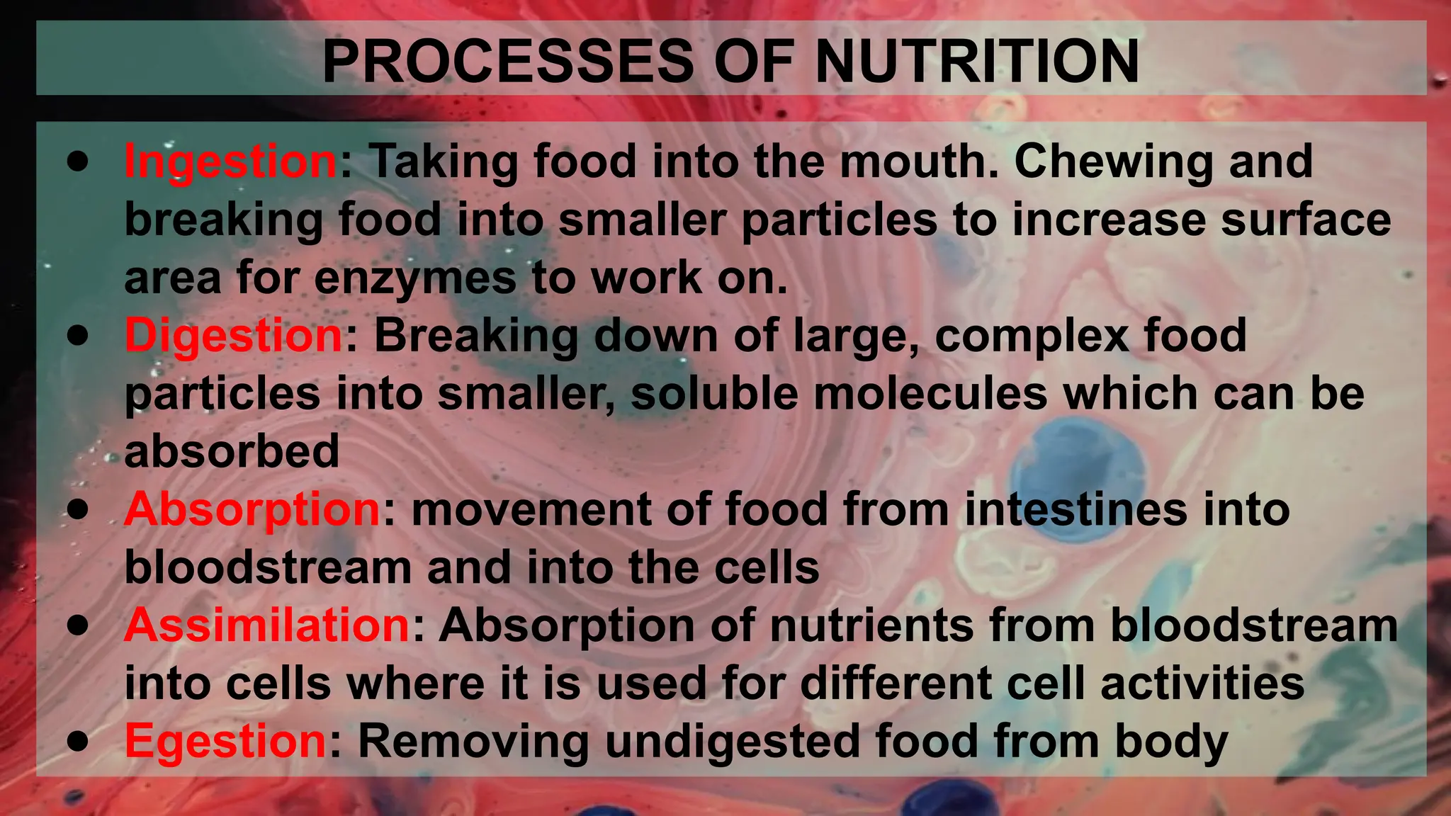 Animal Nutrition - Digestive System and Balanced Diet (1).pptx