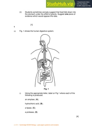 2
v1 4Y11 Cambridge IGCSE Biology – past paper questions and answers
(ii) Students sometimes wrongly suggest that food falls down into
the stomach under the effect of gravity. Suggest one piece of
evidence which would oppose this idea.
[1]
1
(c) Fig. 1 shows the human digestive system.
Fig. 1
(i) Using the appropriate letter, label on Fig 1 where each of the
following is produced:
an amylase, (A);
hydrochloric acid, (B);
a lipase, (C);
a protease, (D).
[4]
 