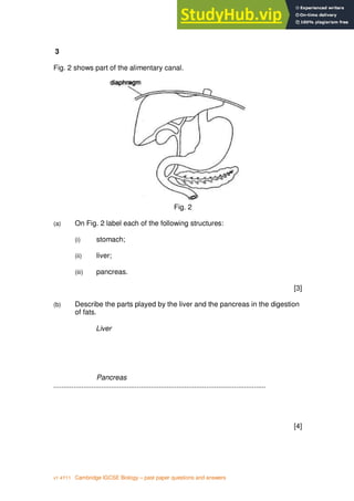5
v1 4Y11 Cambridge IGCSE Biology – past paper questions and answers
3
Fig. 2 shows part of the alimentary canal.
Fig. 2
(a) On Fig. 2 label each of the following structures:
(i) stomach;
(ii) liver;
(iii) pancreas.
[3]
(b) Describe the parts played by the liver and the pancreas in the digestion
of fats.
Liver
Pancreas
...........................................................................................................
[4]
 