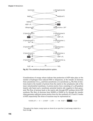 Animal nutrition , 7th edition