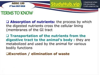 ANIMAL NUTRITION AND FEEDING LECTURE CONTENT | PDF