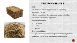 Animal Nutrition and Feeding Practices || Assist. Prof. Boby Basnet | PDF
