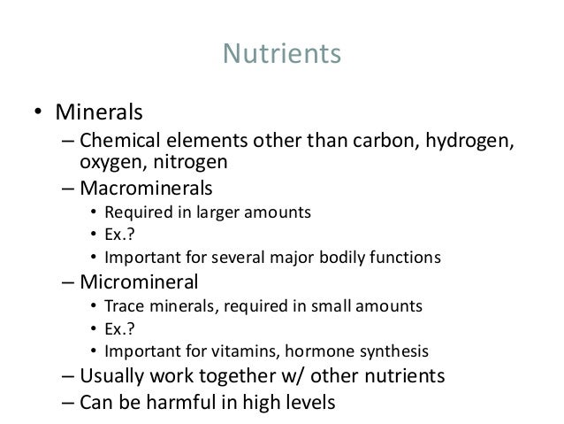 review document upon animal nutrition review report relating to puppy nutrition