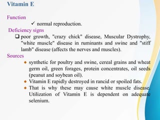Vitamin E
Function
 normal reproduction.
Deficiency signs
 poor growth, "crazy chick" disease, Muscular Dystrophy,
"white muscle" disease in ruminants and swine and "stiff
lamb" disease (affects the nerves and muscles).
Sources
synthetic for poultry and swine, cereal grains and wheat
germ oil, green forages, protein concentrates, oil seeds
(peanut and soybean oil).
Vitamin E rapidly destroyed in rancid or spoiled fats.
That is why these may cause white muscle disease.
Utilization of Vitamin E is dependent on adequate
selenium.
 