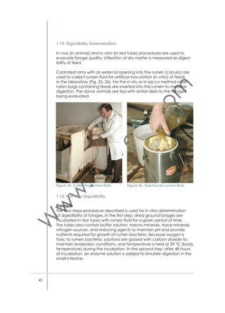 APPENDICES
Appendix 1. Request form for Analyses in Animal
Nutrition Laboratory
ICARDA Animal Nutrition Laboratory: Request for Analysis
BATCH NUMBER :
Date received:
Date dispatched:
Approval lab manager:
Requisitioner:
Program/Department:
Budget Code:
Total costs:
Approval project manager:
Type of Analysis
sample

Number
of samples

Description
of samples

Cost per
sample US$

N/CP
DM & Ash
ADF
NDF
ADL
IVDMD
IVOMD
Fat
Milk analysis
Minerals
Gas Production Test
Tannins
TP& Tannins
Condensed tannins
Total

74

Total costs
US$

 