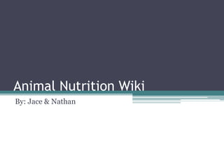 Animal Nutrition Wiki By: Jace & Nathan 