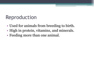 Reproduction
• Used for animals from breeding to birth.
• High in protein, vitamins, and minerals.
• Feeding more than one animal.
 