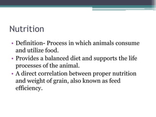 Animal nutrition wiki