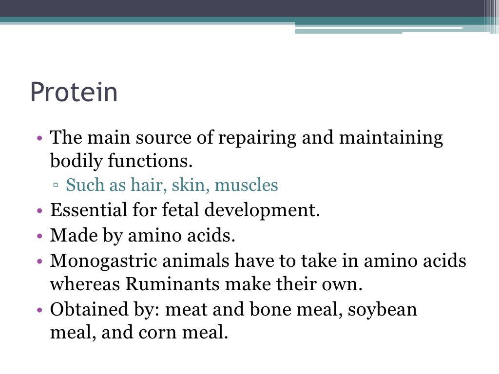 Animal Nutrition Wiki