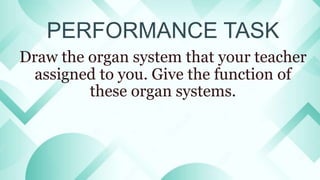 Animal Organ System.pptx