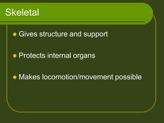 Skeletal
 Gives structure and support
 Protects internal organs
 Makes locomotion/movement possible
 