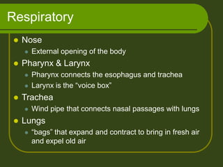 Respiratory
 Nose
 External opening of the body
 Pharynx & Larynx
 Pharynx connects the esophagus and trachea
 Larynx is the “voice box”
 Trachea
 Wind pipe that connects nasal passages with lungs
 Lungs
 “bags” that expand and contract to bring in fresh air
and expel old air
 