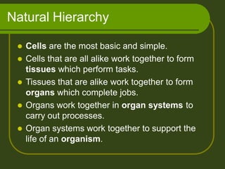 Natural Hierarchy
 Cells are the most basic and simple.
 Cells that are all alike work together to form
tissues which perform tasks.
 Tissues that are alike work together to form
organs which complete jobs.
 Organs work together in organ systems to
carry out processes.
 Organ systems work together to support the
life of an organism.
 