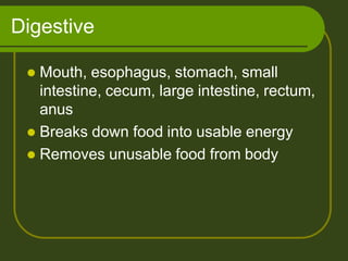 Digestive
 Mouth, esophagus, stomach, small
intestine, cecum, large intestine, rectum,
anus
 Breaks down food into usable energy
 Removes unusable food from body
 