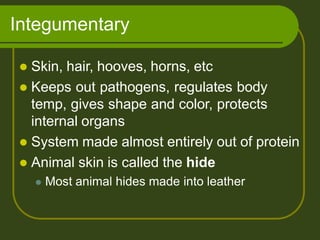 Integumentary
 Skin, hair, hooves, horns, etc
 Keeps out pathogens, regulates body
temp, gives shape and color, protects
internal organs
 System made almost entirely out of protein
 Animal skin is called the hide
 Most animal hides made into leather
 