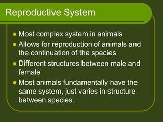 Reproductive System
 Most complex system in animals
 Allows for reproduction of animals and
the continuation of the species
 Different structures between male and
female
 Most animals fundamentally have the
same system, just varies in structure
between species.
 
