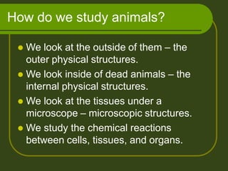 How do we study animals?
 We look at the outside of them – the
outer physical structures.
 We look inside of dead animals – the
internal physical structures.
 We look at the tissues under a
microscope – microscopic structures.
 We study the chemical reactions
between cells, tissues, and organs.
 