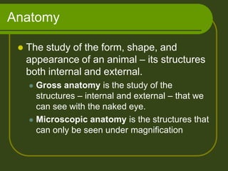 Anatomy
 The study of the form, shape, and
appearance of an animal – its structures
both internal and external.
 Gross anatomy is the study of the
structures – internal and external – that we
can see with the naked eye.
 Microscopic anatomy is the structures that
can only be seen under magnification
 