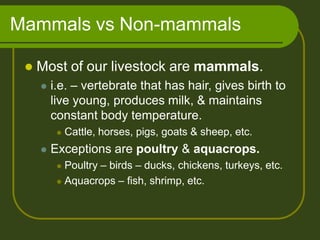 Mammals vs Non-mammals
 Most of our livestock are mammals.
 i.e. – vertebrate that has hair, gives birth to
live young, produces milk, & maintains
constant body temperature.
 Cattle, horses, pigs, goats & sheep, etc.
 Exceptions are poultry & aquacrops.
 Poultry – birds – ducks, chickens, turkeys, etc.
 Aquacrops – fish, shrimp, etc.
 