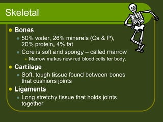 Skeletal
   Bones
       50% water, 26% minerals (Ca & P),
        20% protein, 4% fat
       Core is soft and spongy – called marrow
            Marrow makes new red blood cells for body.
   Cartilage
       Soft, tough tissue found between bones
        that cushions joints
   Ligaments
       Long stretchy tissue that holds joints
        together
 