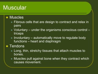 Muscular
   Muscles
       Fibrous cells that are design to contract and relax in
        pairs
       Voluntary – under the organisms conscious control –
        triceps
       Involuntary – automatically move to regulate body
        functions – heart and diaphragm
   Tendons
       Long, thin, stretchy tissues that attach muscles to
        bones.
       Muscles pull against bone when they contract which
        causes movement.
 