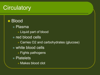 Circulatory

    Blood
        Plasma
             Liquid part of blood
        red blood cells
             Carries O2 and carbohydrates (glucose)
        white blood cells
             Fights pathogens
        Platelets
             Makes blood clot
 