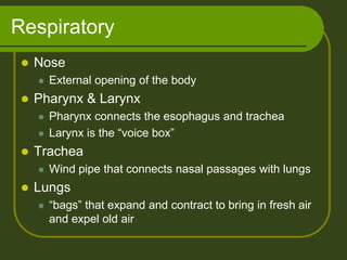 Respiratory
    Nose
        External opening of the body
    Pharynx & Larynx
        Pharynx connects the esophagus and trachea
        Larynx is the “voice box”
    Trachea
        Wind pipe that connects nasal passages with lungs
    Lungs
        “bags” that expand and contract to bring in fresh air
         and expel old air
 