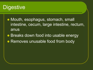 Digestive

  Mouth, esophagus, stomach, small
   intestine, cecum, large intestine, rectum,
   anus
  Breaks down food into usable energy
  Removes unusable food from body
 